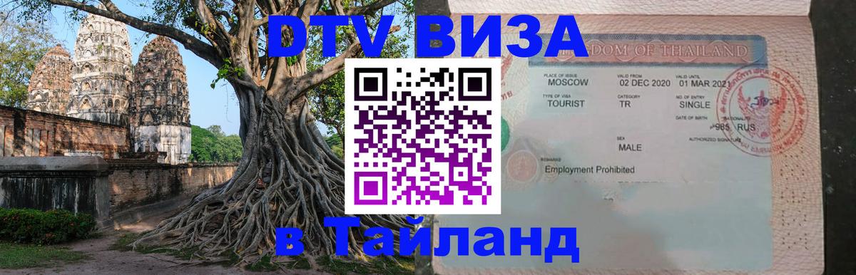 Сколько стоит DTV виза — актуальные цены, оформление даже без документов - 05.10.2025 